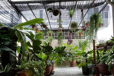 SS 21, Damansara Utama