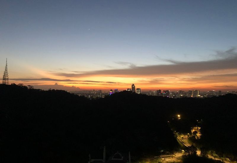 Cubic Botanical (Residensi Rimba)