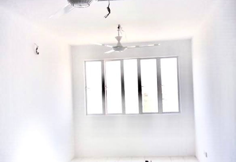 The Rise Collection 2