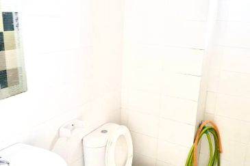 The Rise Collection 2