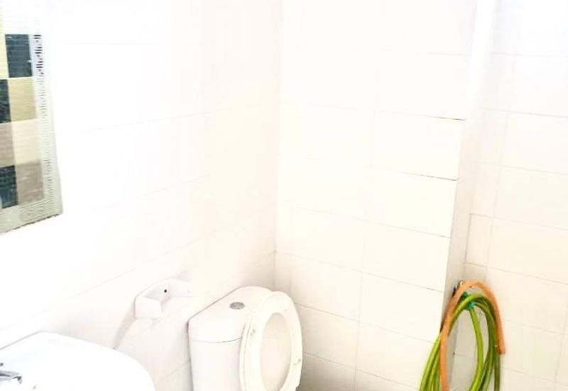 The Rise Collection 2