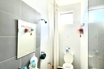 The Rise Collection 2