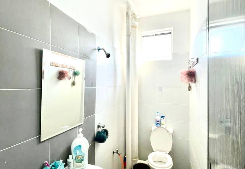 The Rise Collection 2