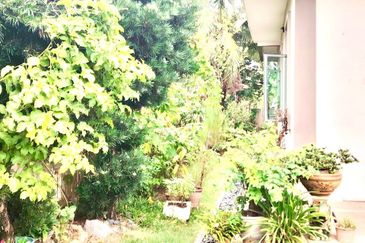 Dedaun, Bandar Cassia