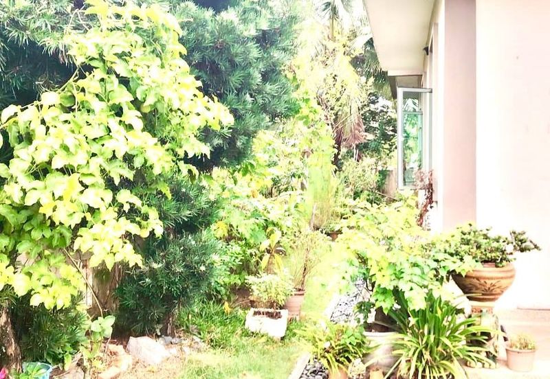 Dedaun, Bandar Cassia