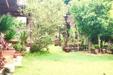 Dedaun, Bandar Cassia