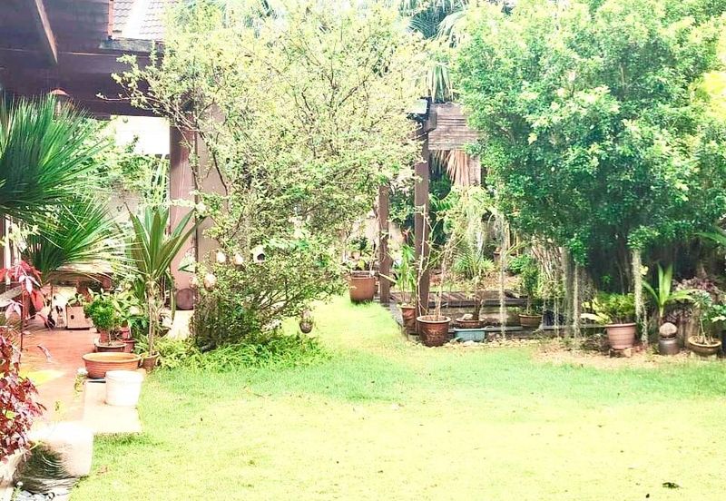 Dedaun, Bandar Cassia