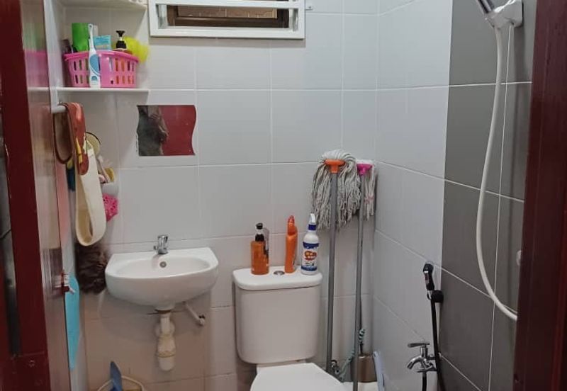 The Rise Collection 2