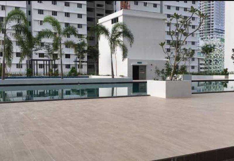 The Rise Collection 2