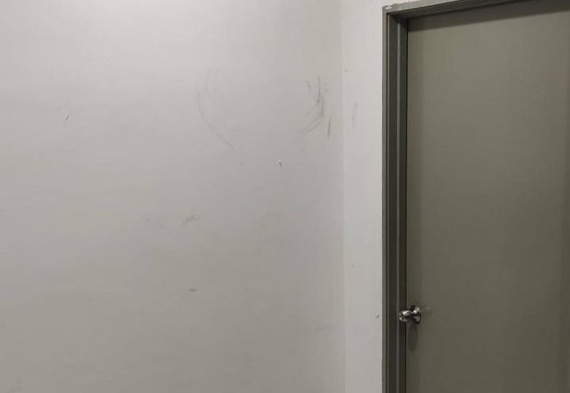 The Rise Collection 2