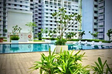 The Rise Collection 2