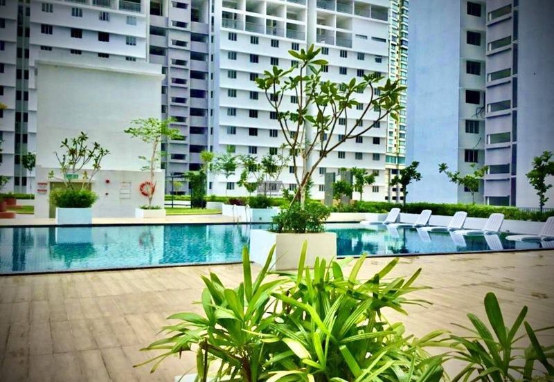 The Rise Collection 2