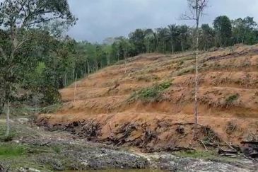 Land at Ulu Mahang - sungai petani 