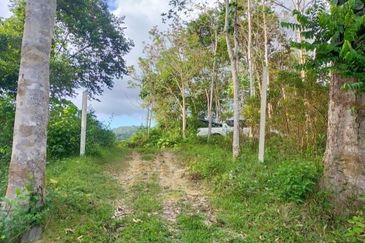 Land at Ulu Mahang - sungai petani 