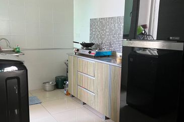 Tree Sparina @ Ideal Vision Park