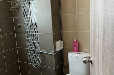 Tree Sparina @ Ideal Vision Park