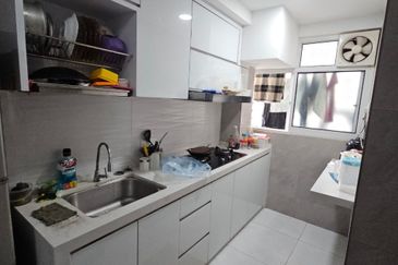 The Rise Collection 2