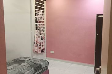 The Rise Collection 2