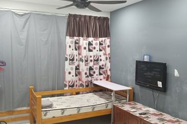 The Rise Collection 2