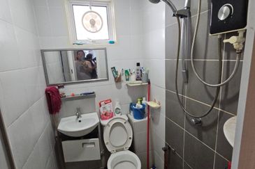 The Rise Collection 2