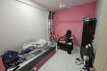 The Rise Collection 2