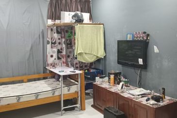 The Rise Collection 2