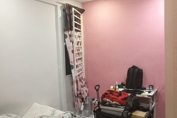 The Rise Collection 2