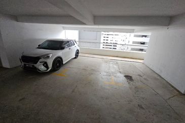 The Rise Collection 2