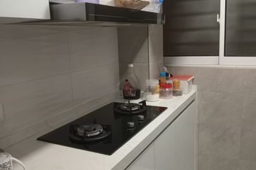 The Rise Collection 2