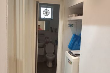 The Rise Collection 2