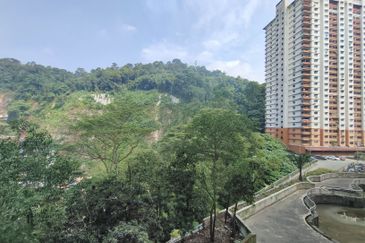 Flora Damansara