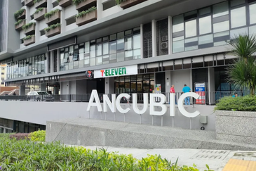 Cubic Botanical (Residensi Rimba)