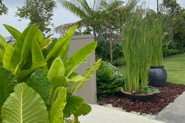 FOR SALE 2 STORY TERRACE BELINASE CONCEPT HOME @ CYBERSOUTH.