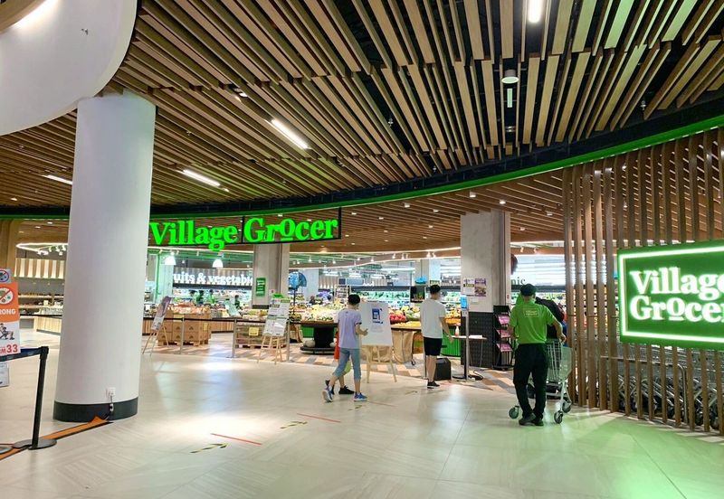 Dianthus @ Tropicana Gardens