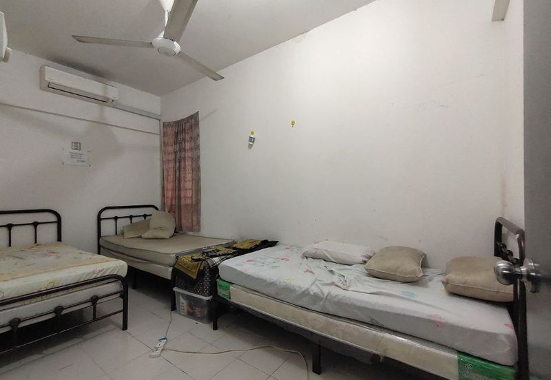 Palm Garden Apartment