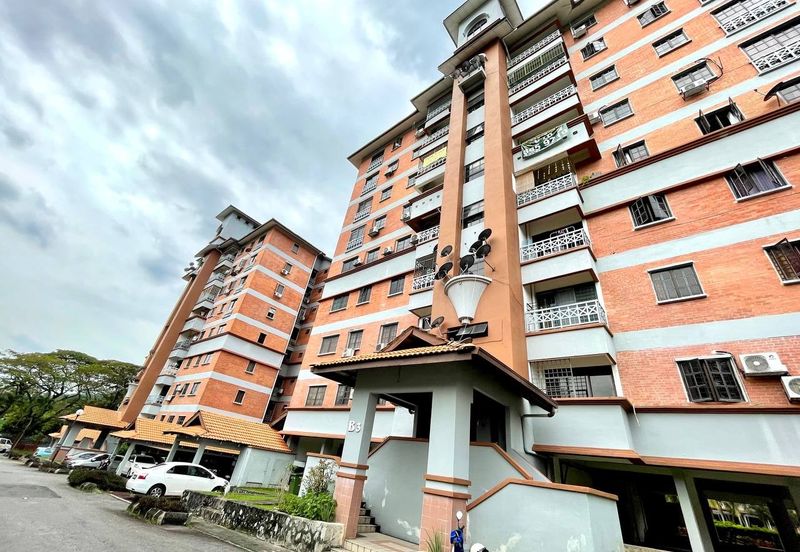 Evergreen Park Acorn and Hazel