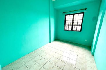 Evergreen Park Acorn and Hazel