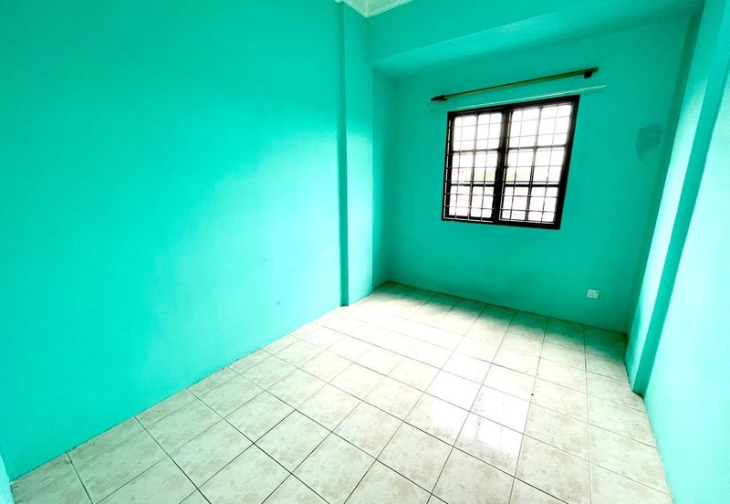 Evergreen Park Acorn and Hazel