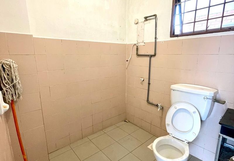 Evergreen Park Acorn and Hazel