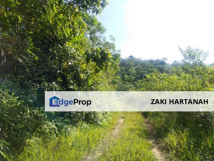 MURAH! TANAH PERTANIAN UNTUK DIJUAL, Simpang Durian Jelebu, Negeri Sembilan, Negeri Sembilan, Jelebu