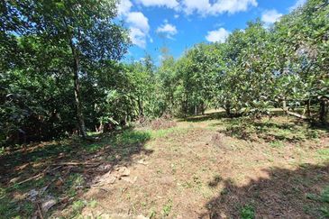 Tanah Pertanian, Berserta Sebuah Banglo 2 Tingkat,  Bt 15, Hulu Langat untuk dijual