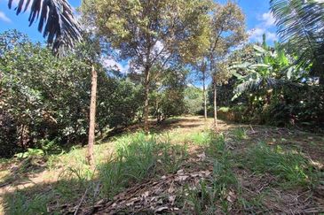 Tanah Pertanian, Berserta Sebuah Banglo 2 Tingkat,  Bt 15, Hulu Langat untuk dijual