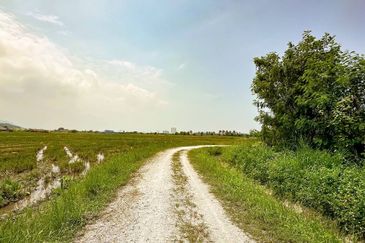 WTS Tanah First Grade Tanjung Putus, Permatang Pauh, Seberang Perai, Pulau Pinang