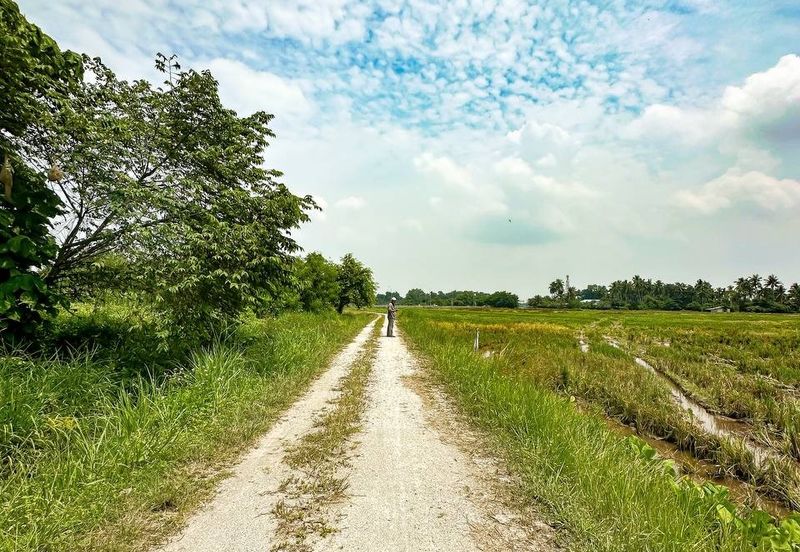 WTS Tanah First Grade Tanjung Putus, Permatang Pauh, Seberang Perai, Pulau Pinang