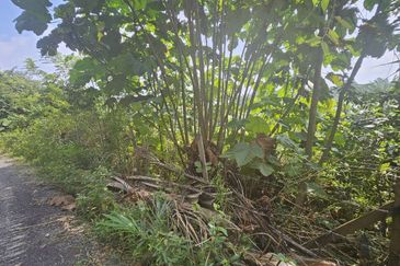 Tanah Pertaniah untuk Dijual 📍 Lubok Cina, Mukim Rembau/ Sempadan Melaka