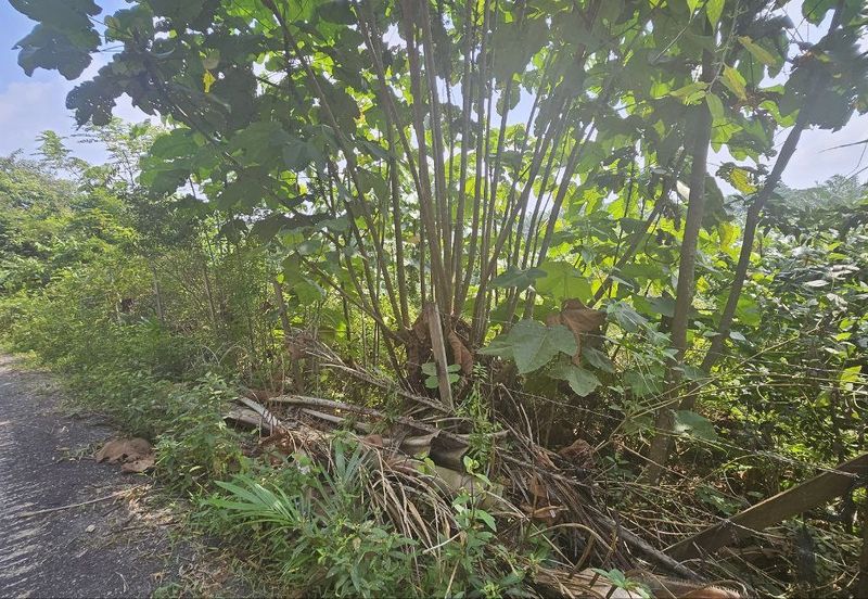 Tanah Pertaniah untuk Dijual 📍 Lubok Cina, Mukim Rembau/ Sempadan Melaka