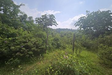 Tanah Pertaniah untuk Dijual 📍 Lubok Cina, Mukim Rembau/ Sempadan Melaka