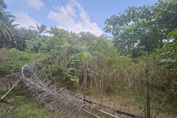 Tanah Pertaniah untuk Dijual 📍 Lubok Cina, Mukim Rembau/ Sempadan Melaka