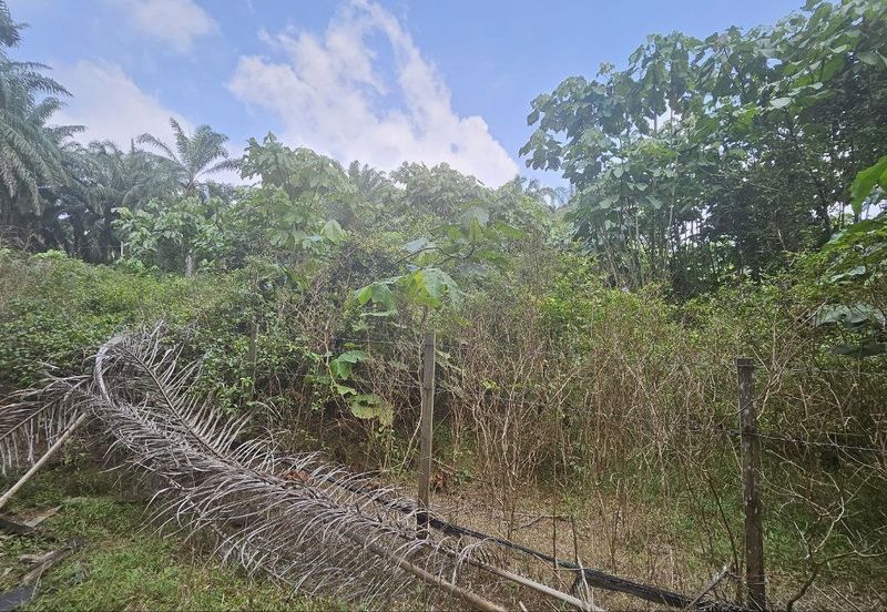 Tanah Pertaniah untuk Dijual 📍 Lubok Cina, Mukim Rembau/ Sempadan Melaka