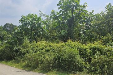 Tanah Pertaniah untuk Dijual 📍 Lubok Cina, Mukim Rembau/ Sempadan Melaka